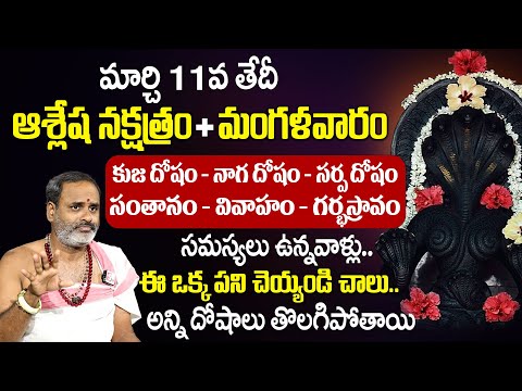 ఈనెల 11వ తేదీ ఆశ్లేష నక్షత్రం + మంగళవారం | Ashlesha Nakshatra Importance | Tirupati Murthy Avadani