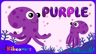 Meet the Color Purple Song - The Kiboomers Colors Songs for Preschoolers