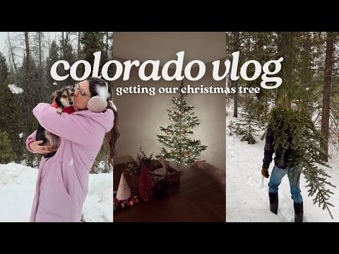 cozy christmas colorado vlog🎄✨ getting our christmas tree!