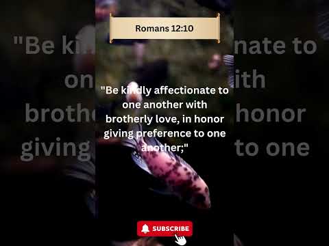 Romans 12:10     #kind #affectionate, #honour #brotherly love #