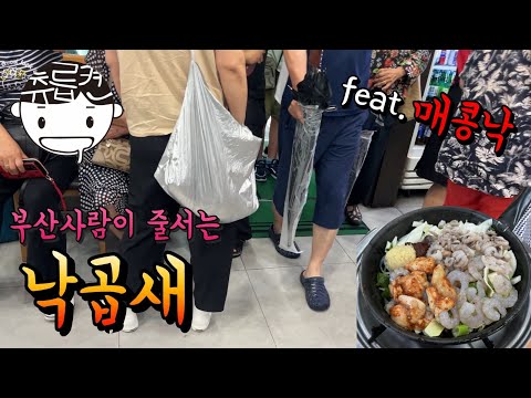 부산 어르신들이 줄서는 낙곱새집 (feat. 매콩낙)