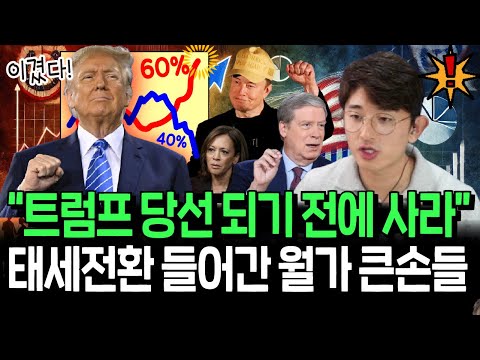 트럼프 당선을 확신하는 월가? 빠르게 돈 몰리는 주식들