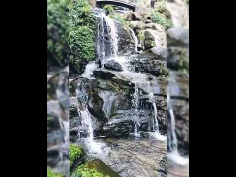 water fall || Feel the 🎵🎶|| amazing what's app status ❤️❤️🕊️🕊️