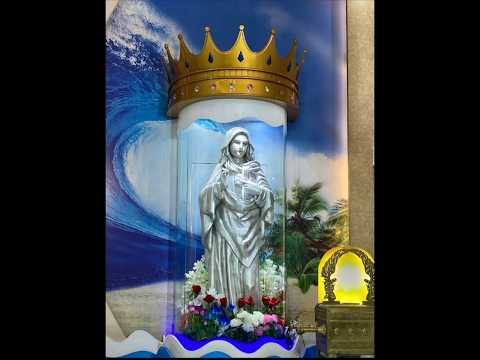 Ave maria 🙏 #kreupasanam #avemaria #mothermary #hailmary #bless #shortvideo #viral #trendingshorts