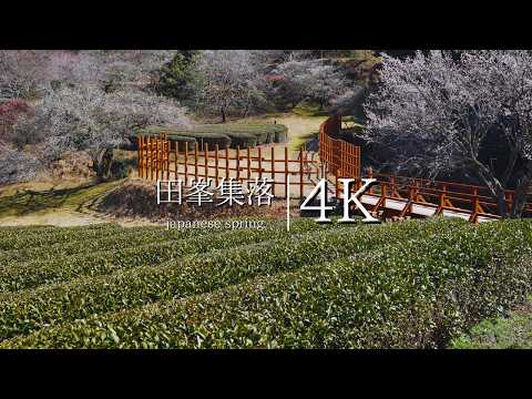 [Mountain village in Aichi] Visit Damine village - JAPAN in 4K