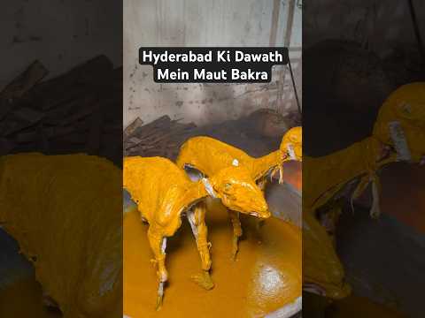 Hyderabad Ki Dawath Premium catering #viralvideo #ytshort #shortsvideo