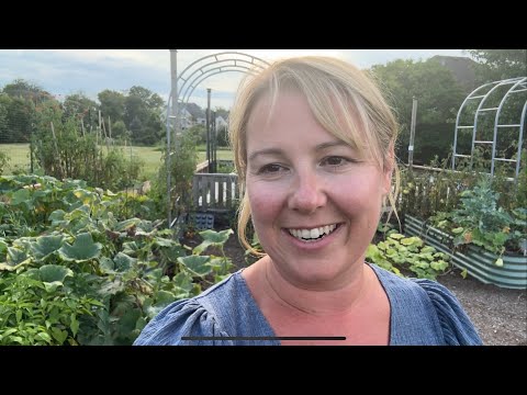 Peppers! Container vs Raised Bed! WHO DID BETTER?!