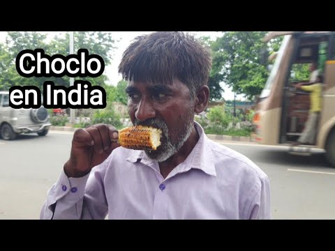 Temporada de Choclo en India !! Con Limón y Sal 😋