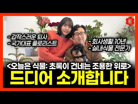 저희의 진짜 실체를 드디어 공개합니다. (feat. 식물에세이, 오늘은식물)