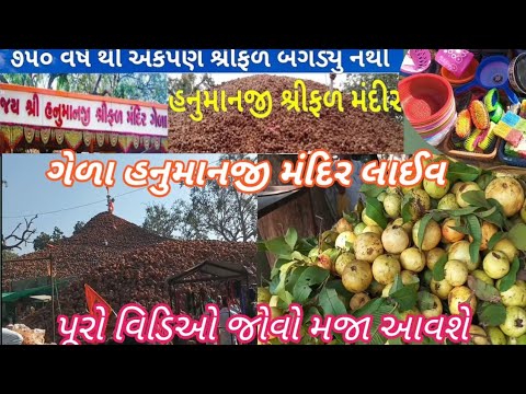 ગેળા હનુમાન જી મંદિર vlog || gela hanumanji mandir vlogs || hanumanji mandir gela || live gela