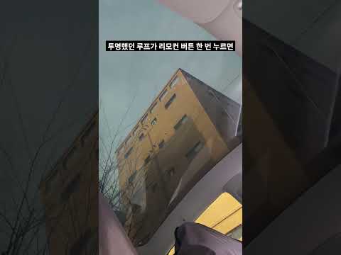 테슬라 모델Y RWD 필수템 추천 ㅣ 포르쉐 타이칸 선샤인 컨트롤 기능을 이제는 테슬라 차량에서도 가능하십니다.  #모델3 #모델y#칼트윈액티브