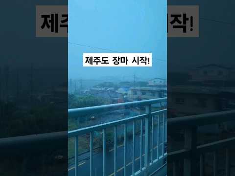 와...막 퍼붓네ㅠㅠ ☔️ ☔️ 제주 장마시작🌧#shorts