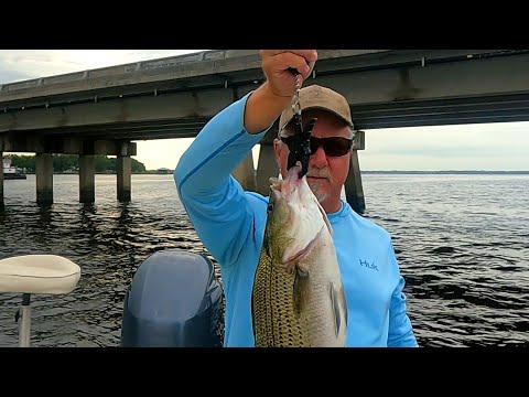 CATCH AND COOK STRIPED BASS ON THE SHORE  SHORE LUNCH