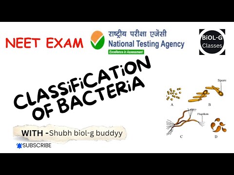 Classification of Bacteria #neetexam#nta#neet2025#neet #neetbiology #ncertbiology #class11thbio