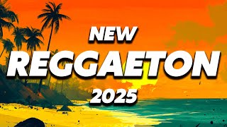 NEW YEAR MUSIC MIX 2025 - NEW JANUARY MUSIC 2025 - BEST REGGAETON MUSIC 2025