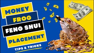 Feng Shui Money Frog Placement and Directions For Wealth & Luck | 3-Legged Money Frog | How To Tips