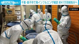 千葉・銚子市の養鶏場で高病原性鳥インフルエンザ確認　約41万羽を殺処分へ(2025年1月12日)