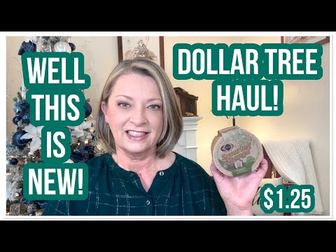 DOLLAR TREE HAUL | Well, This Is New | $1.25 | WOW | LOVE DT😁 #haul #dollartree #dollartreehaul