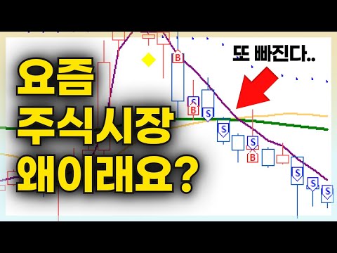 주식이 어려운분 꼭 시청하세요