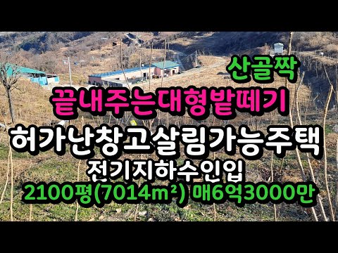 김해 산골짝 대형밭떼기 토지 허가난창고 주택 비닐하우스 매6억3000만