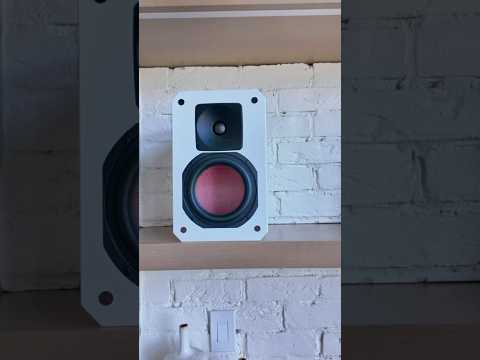 Custom bookshelf speaker for TV sound