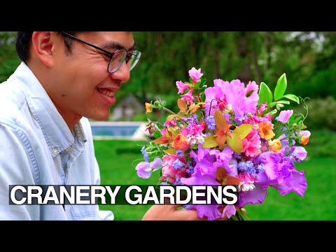 Best Spring Bouquet, Start Cut Flower Garden in May