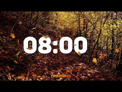 8 Minute Autumn Forest Timer 🍁