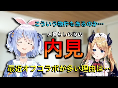 ぺこらがオフコラボでホロメンの家に行く理由とは！？【兎田ぺこら/癒月ちょこ/ホロライブ切り抜き】