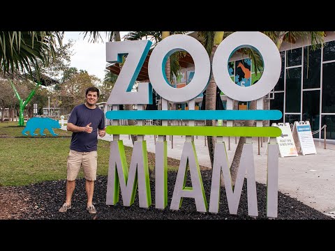 Zoo Miami: A Family Perspective