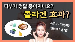 콜라겐 효능 효과 많이 물어보시죠? 🧬 [콜라겐 피부, 콜라겐 추천, 종류, 영양제, 저분자 vs 고분자, 음식]