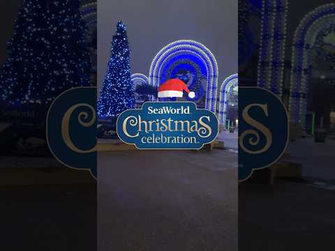 🎄❄️ Sea World Christmas Celebration 2023 #christmas #christmas2023 #seaworld #seaworldchristmas