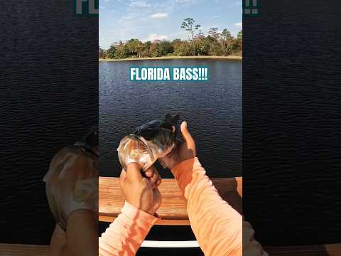 FLORIDA BASS! SUBSCRIBE #fishinglife #fypシ゚viral #fypシ゚ #fypyoutube #trending #viral #fishing