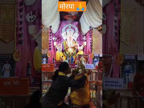 वक्रतुंड महाकाय सूर्यकोटि समप्रभ 🙏#shorts #shortsfeed #hinditranding #ganpatibappa #