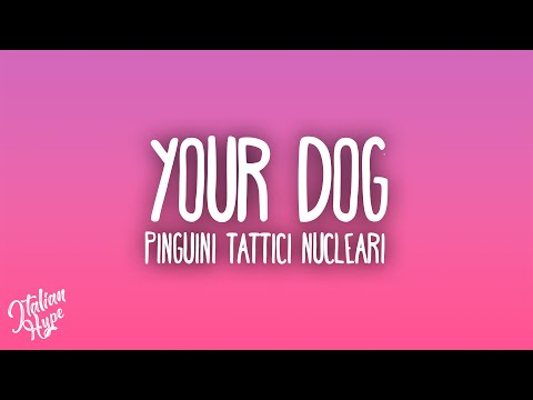 Pinguini Tattici Nucleari - Your Dog