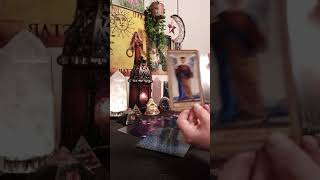 💖Who Will You Marry? #shorts #youtubeshorts #denisemargaretintuitivetarot #tarotcardreading #tarot