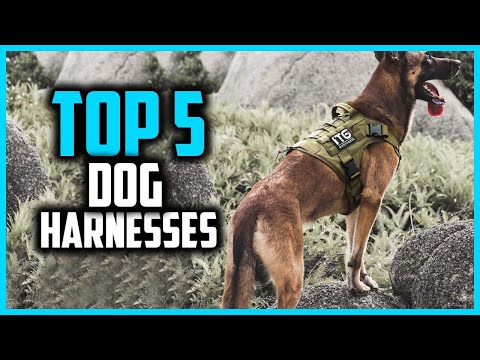 ✅Top 5 Best Dog Harnesses for Stress in 2025