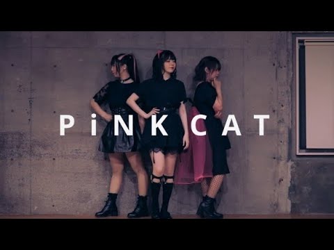 【なぎわぐまる】PiNK CAT【踊ってみた】