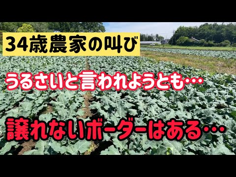 おにぎりが100円から150円になってるし、色んな物が高くなってるし、300円になれとは言わないから野菜だって常に150円で良いじゃないか。