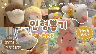 인형 끌당으로 뽑기 집중 공략편!✨ 끌당 잘 되는 인형 구별하는 법 공유📔 고난이도 헬로키티 뽑기에 도전하다•••