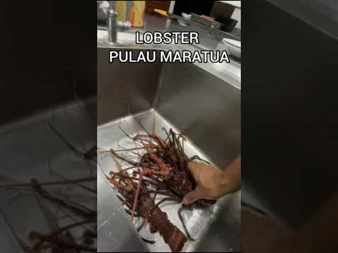 RAHASIA DIBALIK KELEZATAN LOBSTER BAKAR MADU PULAU MARATUA😋#cookingchannel#foodlover#yummy #eating