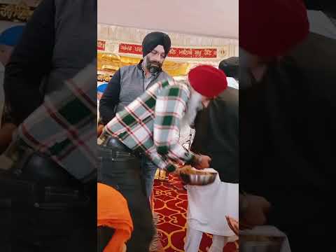 Gurudwara Kada Parshad| #subscribe#cute#ytshort#trending#shorts#viralvideo#kadaparshad#parshad#halwa