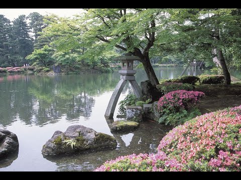 兼六園ライブカメラ