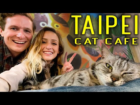 Visiting the WORLD'S FIRST CAT CAFE! 😸☕ (Taipei, Taiwan)