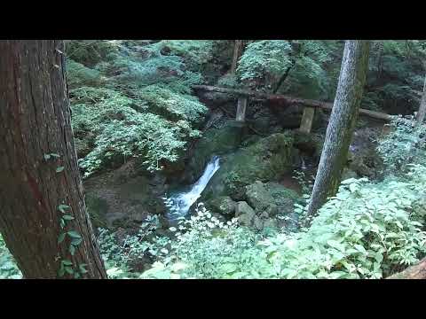 払沢の滝（Hossawa Falls Tokyo）の近く2023年9月