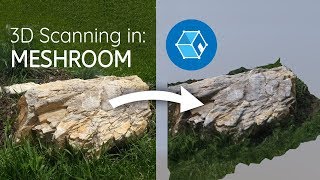 3D Scanning For Free With Meshroom