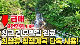 (급매) 최상류 청정 계곡을 단독 사용! 넓은 야외 수영장까지 갖춘 펜션! 전원주택이나 세컨하우스로도 추천합니다. - 힐링하우스TV (경기도 가평군)