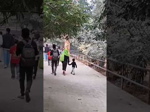 Zoo चिड़ियाखाना patna vlog channel #channel #safaris #discovery