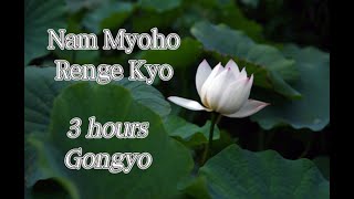 Miracle Gongyo - Very Fast 3 Hrs Nam Myoho Renge Kyo