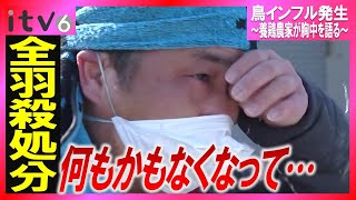 【一面真っ白…】県内初の鳥インフル発生…養鶏農家が胸中を打ち明ける