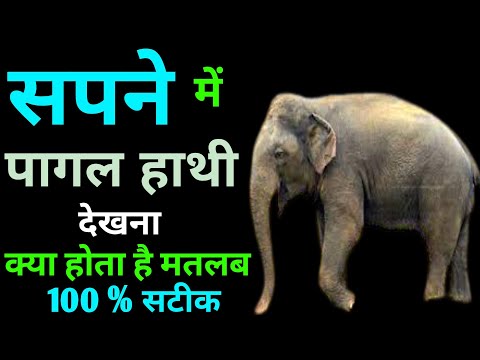 Sapne Me Pagal Hathi Dekhna | सपने मे पागल हाथी देखना | Seeing Elephant In Dreams